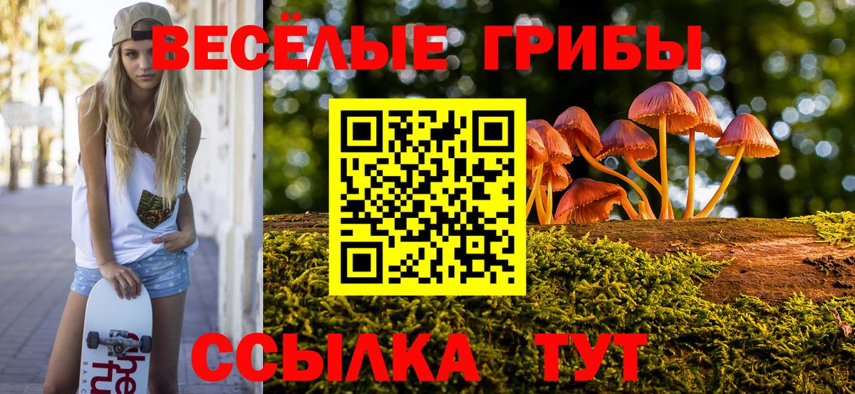 Раменское  Псилоцибиновые грибы Magic Shrooms  Вход с VPN 