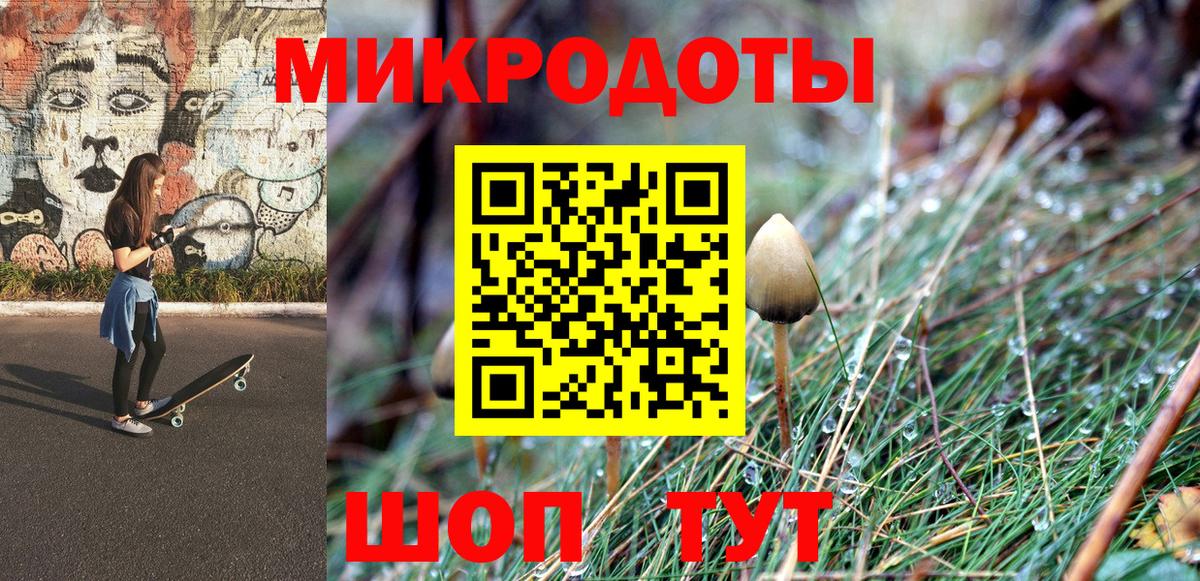 Псилоцибиновые грибы Cubensis Раменское