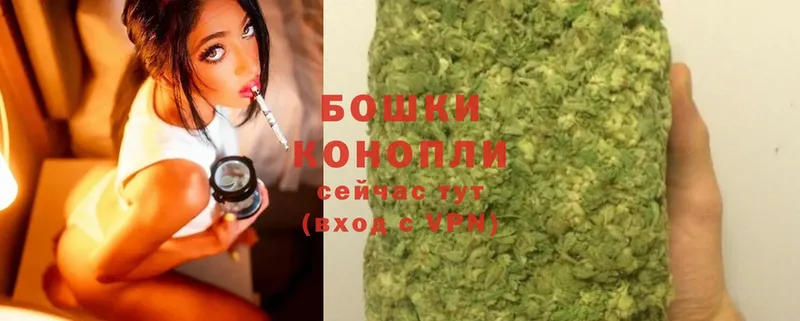 Конопля SATIVA & INDICA  Раменское 